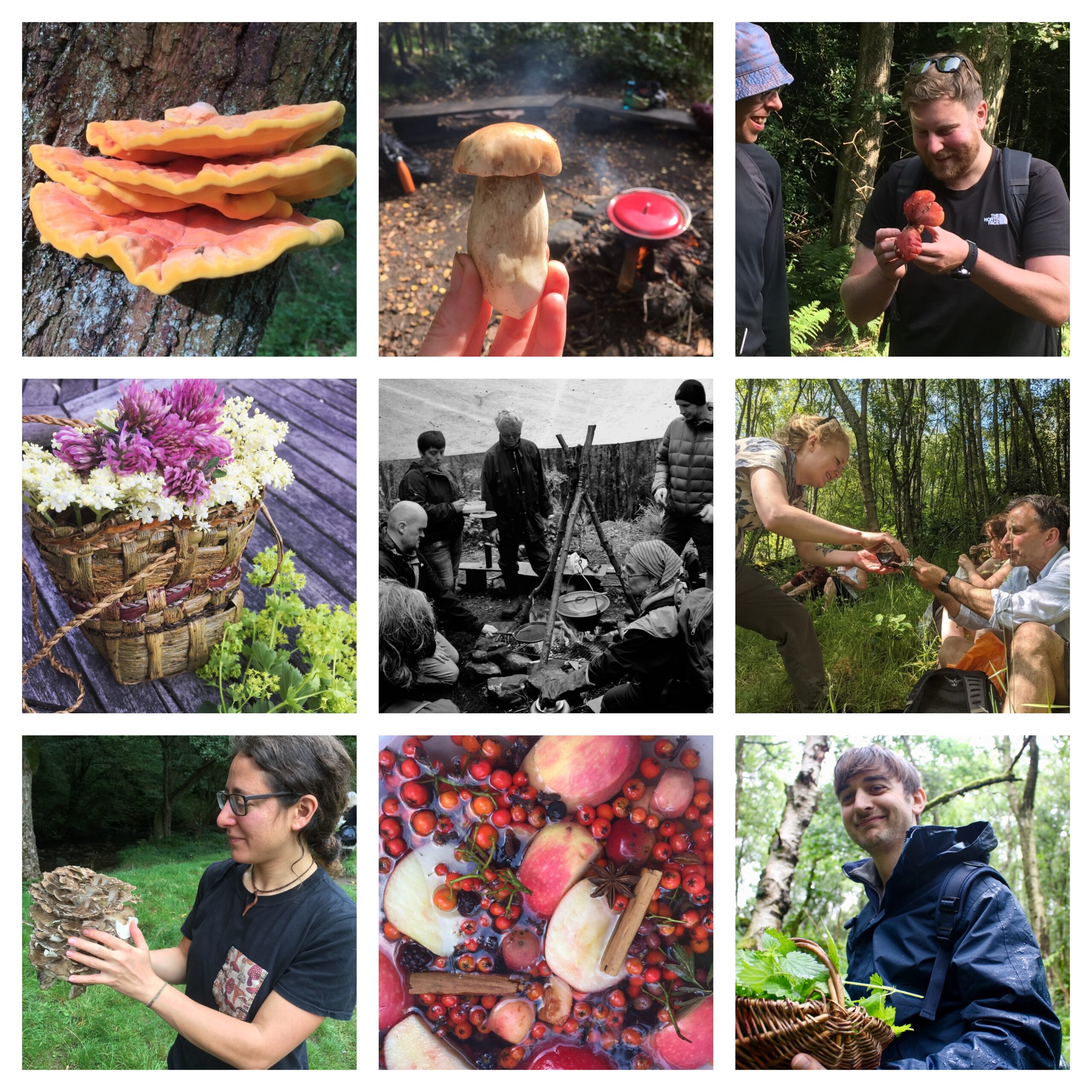 Foraging courses yorkshire