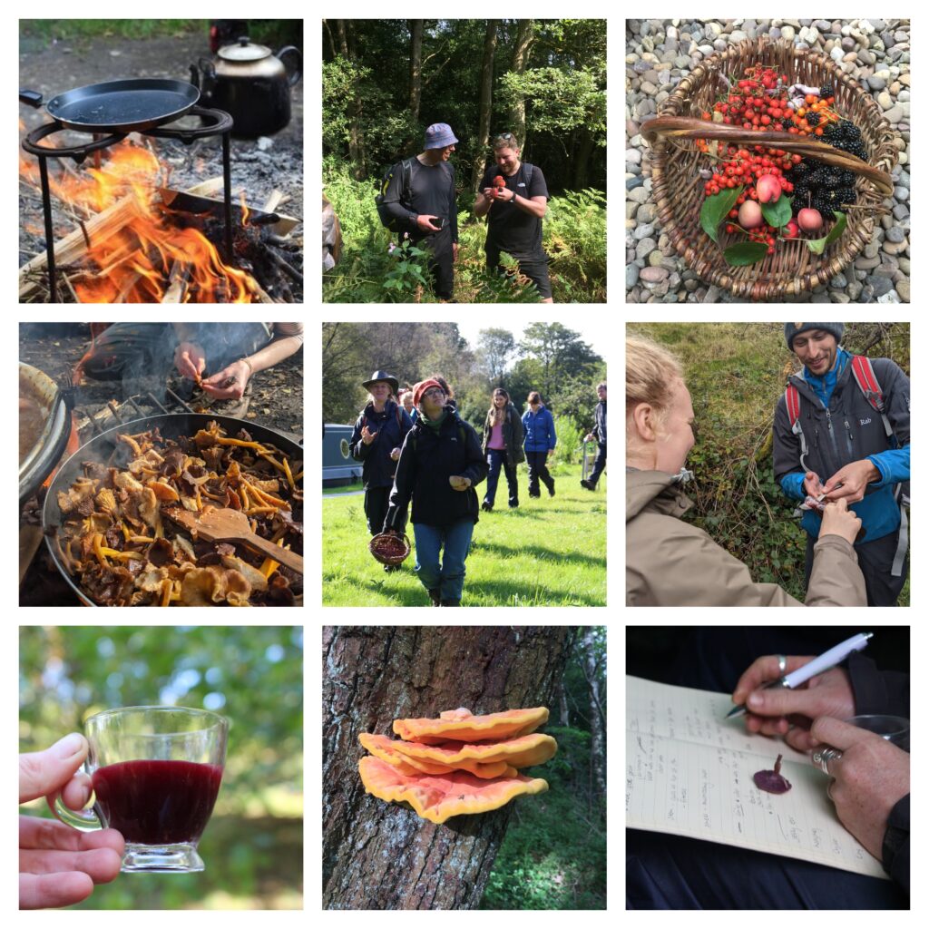 Foraging Course Yorkshire