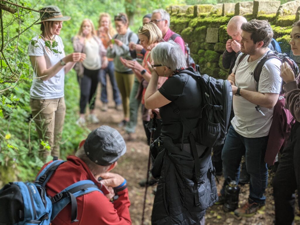 Foraging Courses Northern England