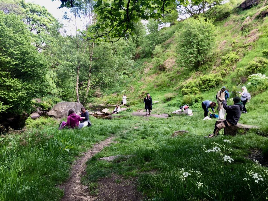 long term foraging course
