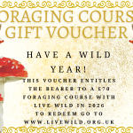 christmas gift voucher foraging yorkshire