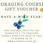 MUSHROOM COURSE GIFT VOUCHER YORKSHIRE